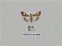 藏品(螟蛾289)的圖片